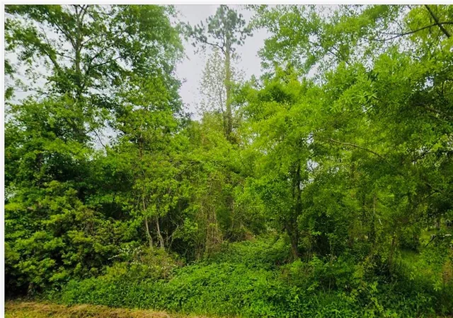 1st image of Lot 67/68 Magnolia Dr, Ponchatoula, LA 70454 | MLS# 2571778