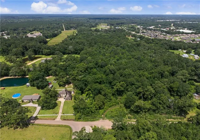 Photo 3 of Land for sale at 42848 Mike Cooper Rd, Ponchatoula, LA 70454 | MLS# 2571872 | Listing updated on 2026-08-11