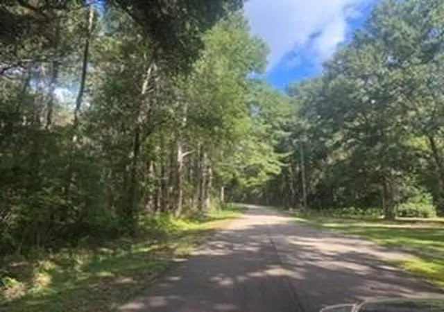 Photo 3 of Land for sale at 0 Lock No 2 Rd #NO, Bush, LA 70431 | MLS# 2571559 | Listing updated on 2026-08-12