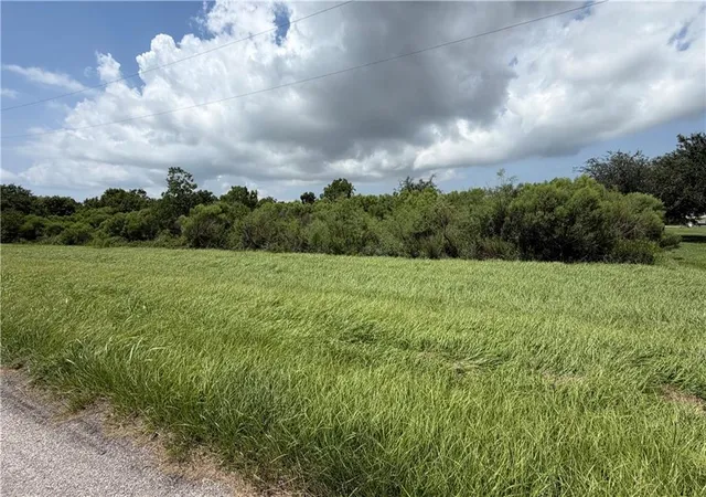Photo 3 of Land for sale at Highway 23, Buras, LA 70041 | MLS# 2572239 | Listing updated on 2026-08-13