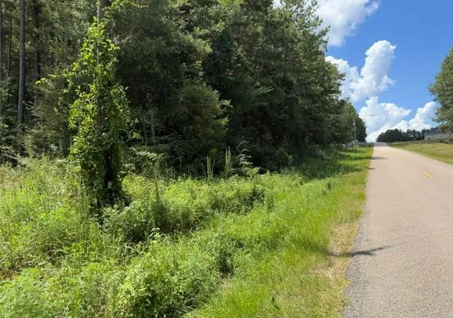 Photo 2 of Land for sale at Lot 9 Bethel Rd, Franklinton, LA 70438 | MLS# 2572225 | Listing updated on 2026-08-14