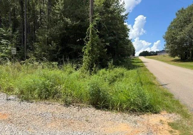 Photo 3 of Land for sale at Lot 9 Bethel Rd, Franklinton, LA 70438 | MLS# 2572225 | Listing updated on 2026-08-14