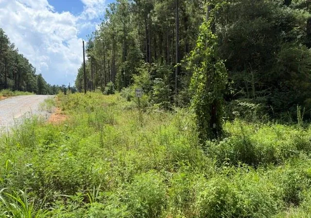 Photo 3 of Land for sale at Lot 9 Bethel Rd, Franklinton, LA 70438 | MLS# 2572225 | Listing updated on 2026-08-14