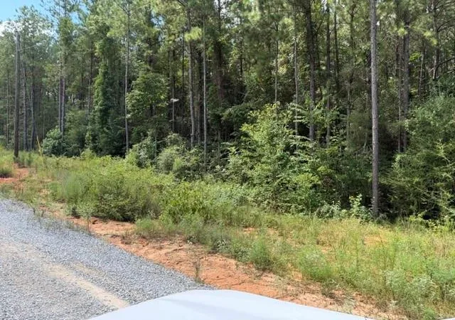 Photo 4 of Land for sale at Lot 9 Bethel Rd, Franklinton, LA 70438 | MLS# 2572225 | Listing updated on 2026-08-14