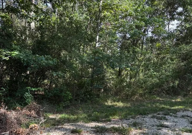 Photo 2 of Land for sale at 25133 Highway 190, Lacombe, LA 70445 | MLS# 2572094 | Listing updated on 2026-08-14