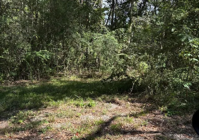 Photo 2 of Land for sale at 25133 Highway 190, Lacombe, LA 70445 | MLS# 2572094 | Listing updated on 2026-08-14