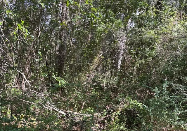 Photo 3 of Land for sale at 25133 Highway 190, Lacombe, LA 70445 | MLS# 2572094 | Listing updated on 2026-08-14