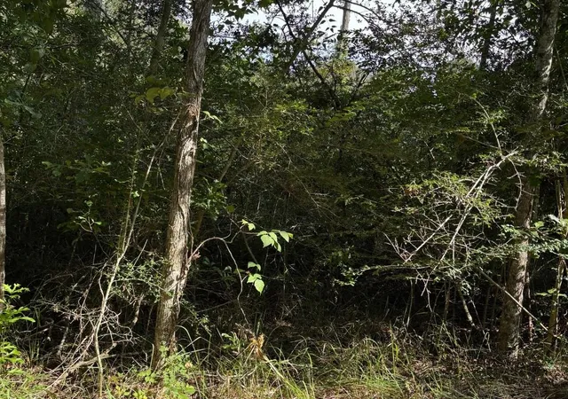 Photo 4 of Land for sale at 25133 Highway 190, Lacombe, LA 70445 | MLS# 2572094 | Listing updated on 2026-08-14