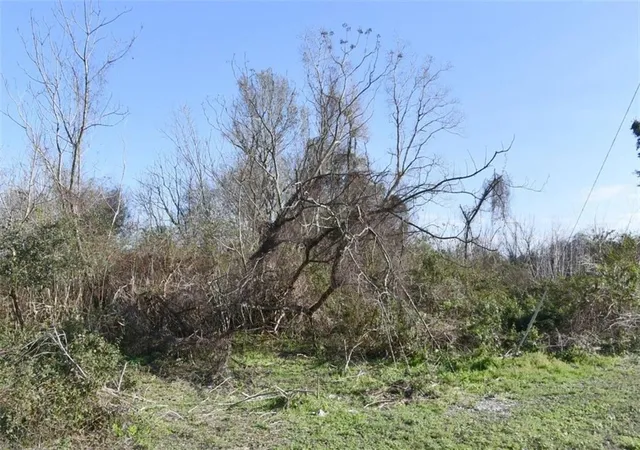 Photo 2 of Land for sale at 1237201 Elmwood Park Dr, New Orleans, LA 70114 | MLS# 2572517 | Listing updated on 2026-08-14