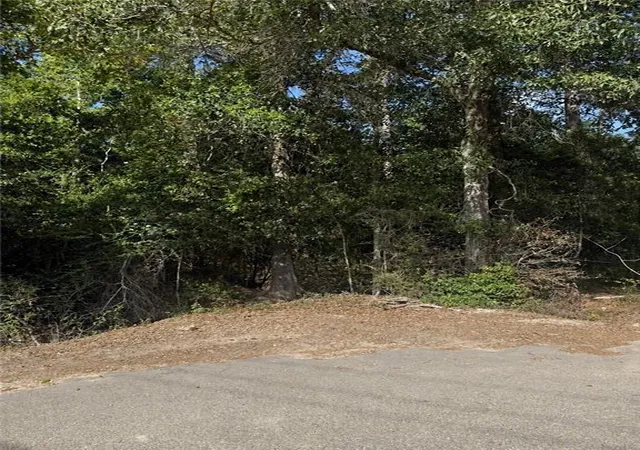 Photo 1 of Land for sale at 50473 Highway 51, Tickfaw, LA 70466 | MLS# 2572375 | Listing updated on 2026-08-14