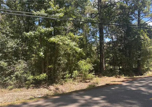 3rd image of Crown Dr, Ponchatoula, LA 70454 | MLS# 2572644