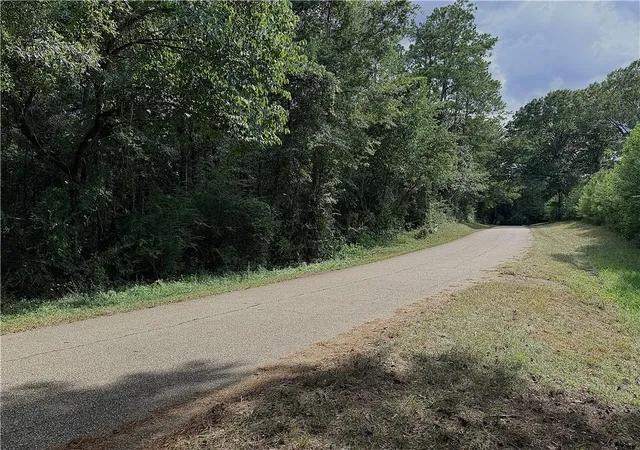 Photo 3 of Land for sale at 15 Acres Hwy 450, Folsom, LA 70437 | MLS# 2572172 | Listing updated on 2026-08-15