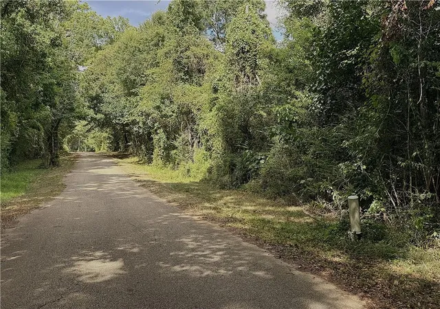 Photo 4 of Land for sale at 15 Acres Hwy 450, Folsom, LA 70437 | MLS# 2572172 | Listing updated on 2026-08-15