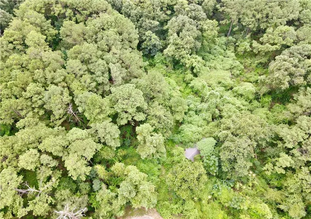 Photo 3 of Land for sale at 17063 Woodrow Rd, Covington, LA 70435 | MLS# 2571750 | Listing updated on 2026-08-20