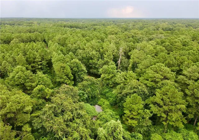 Photo 4 of Land for sale at 17063 Woodrow Rd, Covington, LA 70435 | MLS# 2571750 | Listing updated on 2026-08-20