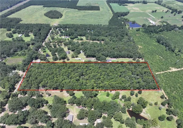 Photo 1 of Land for sale at Rolling Pines Rd, Amite, LA 70422 | MLS# 2573313 | Listing updated on 2026-08-19
