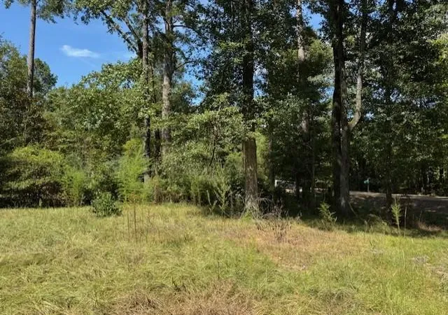 Photo 1 of Land for sale at 33555 John Barber Rd, Holden, LA 70744 | MLS# 2573225 | Listing updated on 2026-08-26