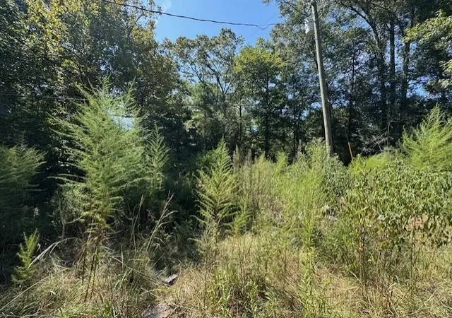 Photo 2 of Land for sale at 33555 John Barber Rd, Holden, LA 70744 | MLS# 2573225 | Listing updated on 2026-08-26
