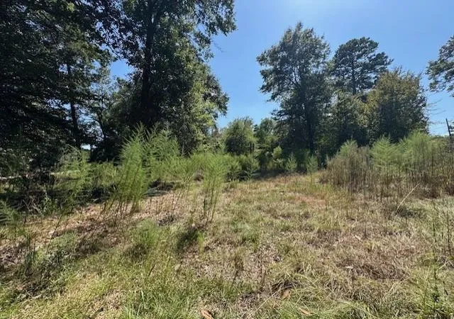 Photo 9 of Land for sale at 33555 John Barber Rd, Holden, LA 70744 | MLS# 2573225 | Listing updated on 2026-08-26