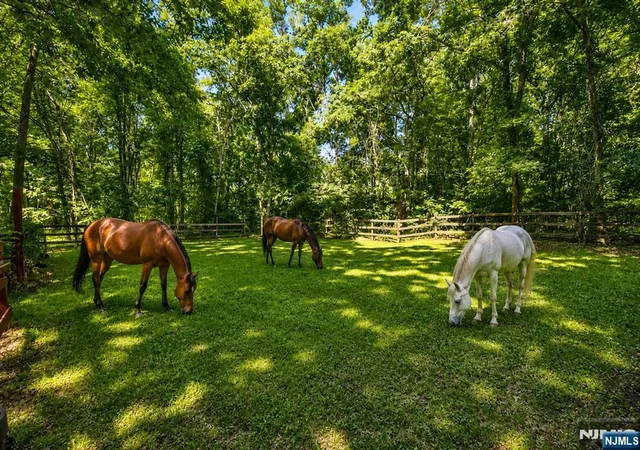 3rd image of 69 Van Orden Rd, West Milford, NJ 07435 | MLS# 26027014