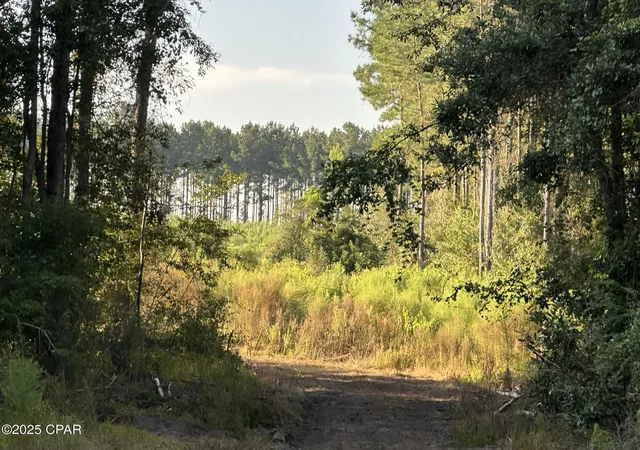 1st image of Tract#6201 Doyle Morgan Rd, Defuniak Springs, FL 32433 | MLS# 777985
