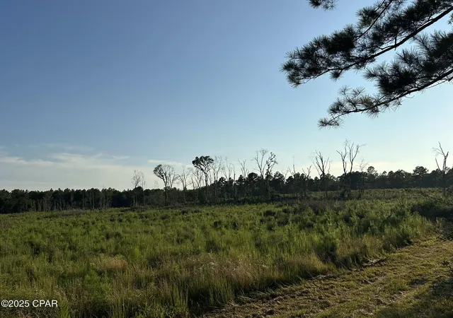 39th image of Tract#6201 Doyle Morgan Rd, Defuniak Springs, FL 32433 | MLS# 777985
