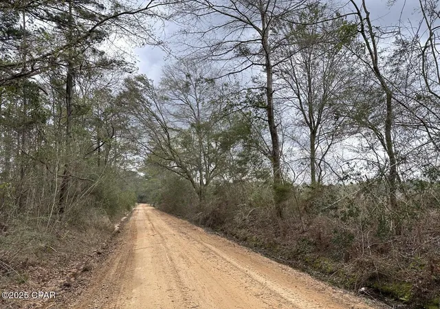 3rd image of Tract#6201 Doyle Morgan Rd, Defuniak Springs, FL 32433 | MLS# 777985