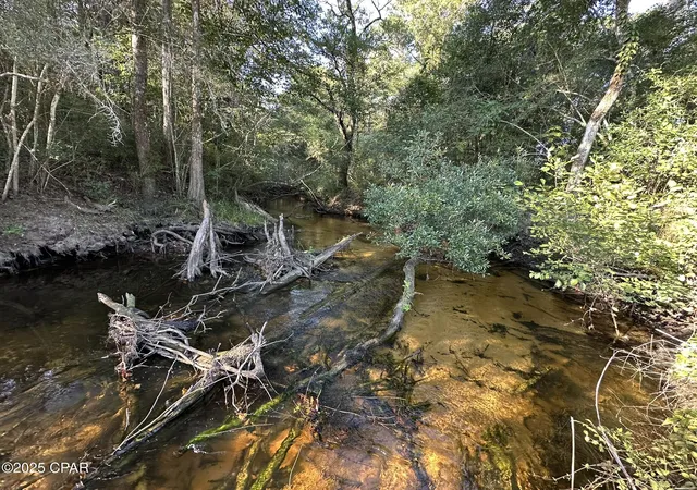 4th image of Tract#6201 Doyle Morgan Rd, Defuniak Springs, FL 32433 | MLS# 777985