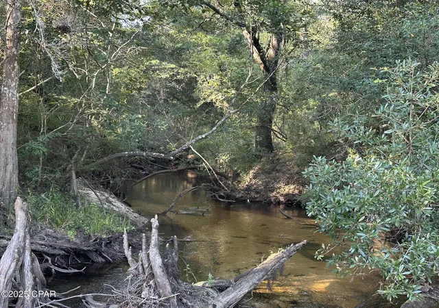 5th image of Tract#6201 Doyle Morgan Rd, Defuniak Springs, FL 32433 | MLS# 777985