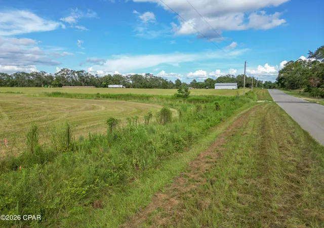 13th image of 0 County Rd 160, Bonifay, FL 32425 | MLS# 793839