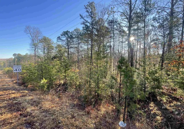 Photo 3 of Land for sale at 985 Evins Rd, Pauline, SC 29374 | MLS# SPN333613 | Listing updated on 2026-08-09