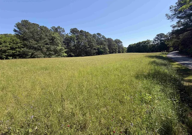 Photo 4 of Land for sale at 155 Franklin Rd, Laurens, SC 29360 | MLS# SPN336253 | Listing updated on 2026-08-11