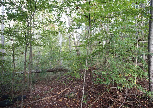 Photo 3 of Land for sale at 1559 Country Ests Rd, Inman, SC 29349 | MLS# SPN336685 | Listing updated on 2026-07-31