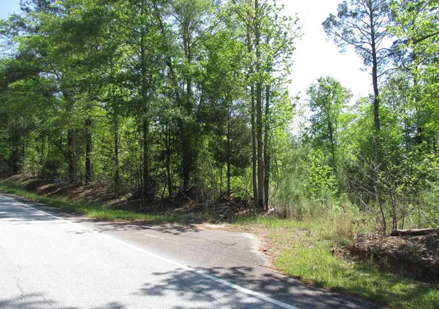 Photo 1 of Land for sale at 0 Kincaid Brg Rd, Winnsboro, SC 29180 | MLS# SPN339498 | Listing updated on 2026-07-18