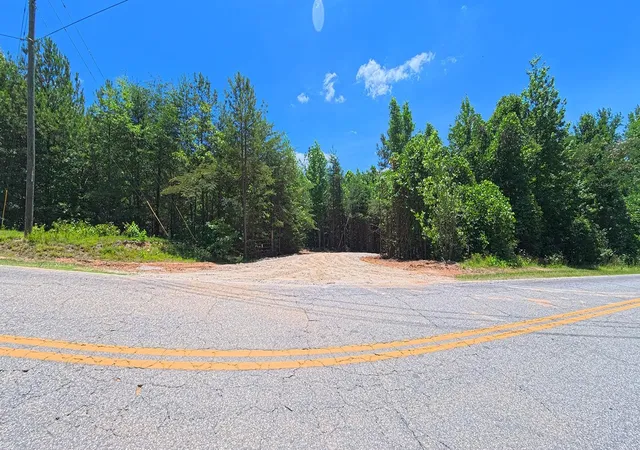 2nd image of Tract C&d Riddle Rd, Pauline, SC 29374 | MLS# SPN339804