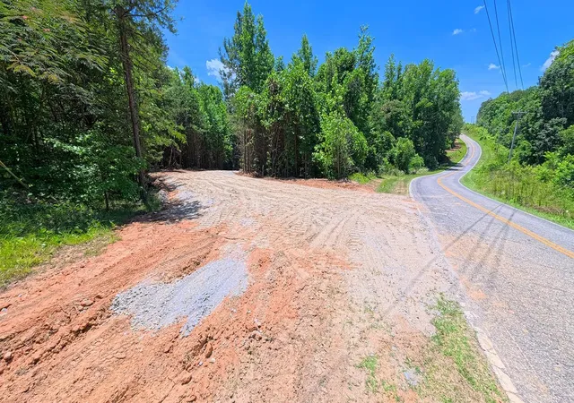 4th image of Tract C&D Riddle Rd, Pauline, SC 29374 | MLS# SPN339804