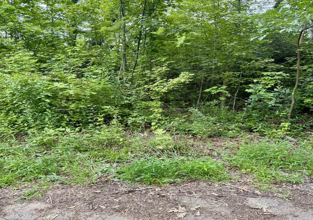 Photo 2 of Land for sale at 139 George St, Spartanburg, SC 29306 | MLS# SPN339871 | Listing updated on 2026-09-08