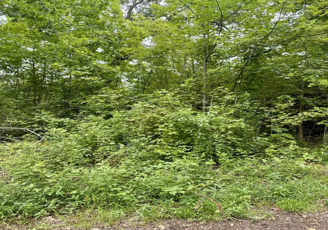 Photo 3 of Land for sale at 139 George St, Spartanburg, SC 29306 | MLS# SPN339871 | Listing updated on 2026-09-08
