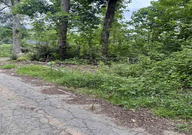 Photo 4 of Land for sale at 139 George St, Spartanburg, SC 29306 | MLS# SPN339871 | Listing updated on 2026-09-08