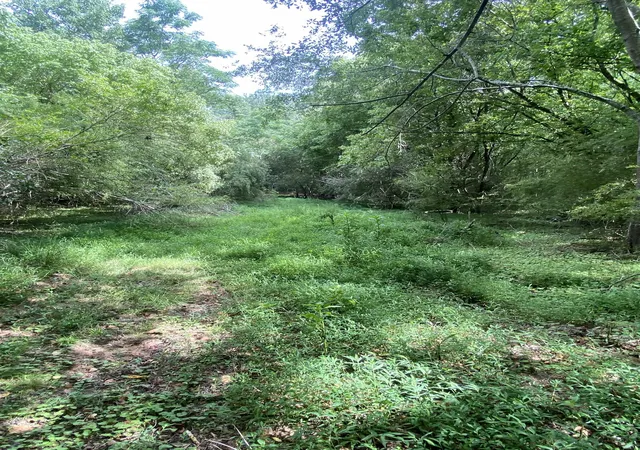 4th image of 520 Groce Rd, Spartanburg, SC 29302 | MLS# SPN340044
