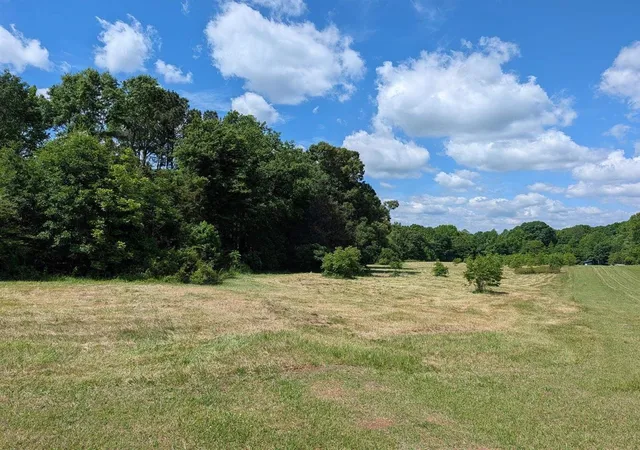 4th image of 00 Watson Rd, Enoree, SC 29335 | MLS# SPN340059