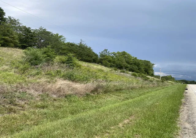 2nd image of Mt Pleasant Church Rd Hwy, Chester, SC 29706 | MLS# SPN340061