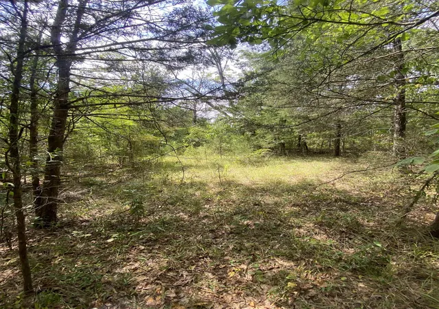 3rd image of Mt Pleasant Church Rd Hwy, Chester, SC 29706 | MLS# SPN340061