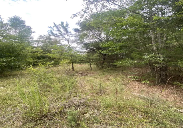 5th image of Mt Pleasant Church Rd Hwy, Chester, SC 29706 | MLS# SPN340061