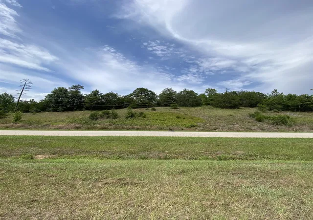 8th image of Mt Pleasant Church Rd Hwy, Chester, SC 29706 | MLS# SPN340061