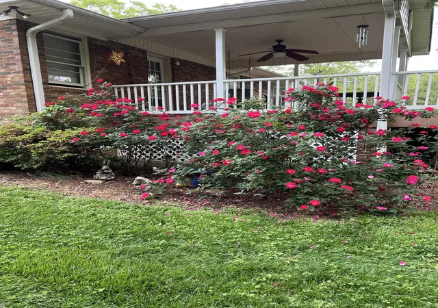 Photo 4 of Single family home for sale at 151 Hillandale Ln, Pacolet, SC 29372 | MLS# SPN340072 | Listing updated on 2026-08-27