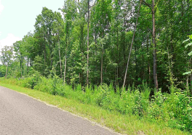 2nd image of Tbd Byars Farm Rd, Gaffney, SC 29341 | MLS# SPN340119