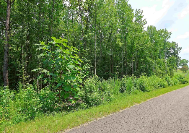 Photo 3 of Land for sale at Tbd Byars Farm Rd, Gaffney, SC 29341 | MLS# SPN340119 | Listing updated on 2026-09-06