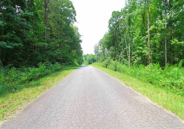 Photo 3 of Land for sale at Tbd Byars Farm Rd, Gaffney, SC 29341 | MLS# SPN340119 | Listing updated on 2026-10-03