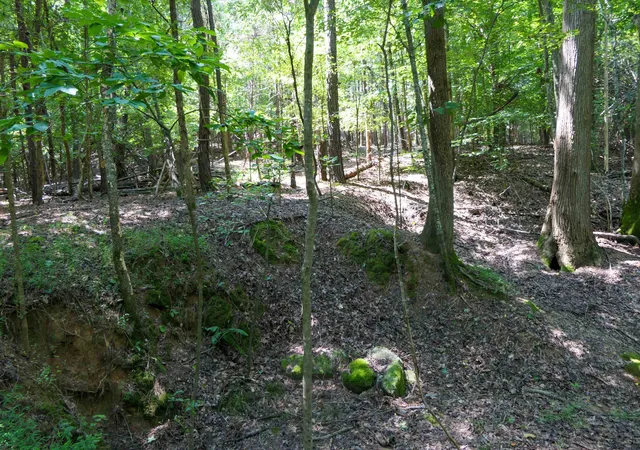Photo 3 of Land for sale at 116 Meansville, Union, SC 29379 | MLS# SPN340436 | Listing updated on 2026-08-13